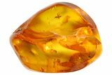 Fossil Spider Web and Flies in Baltic Amber - Rare! #183660-4
